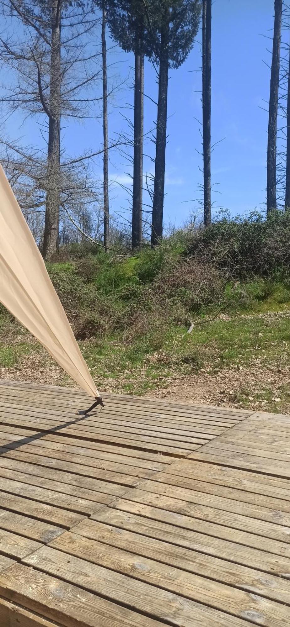 Eco Ceiba Ξενοδοχείο Busque Εξωτερικό φωτογραφία