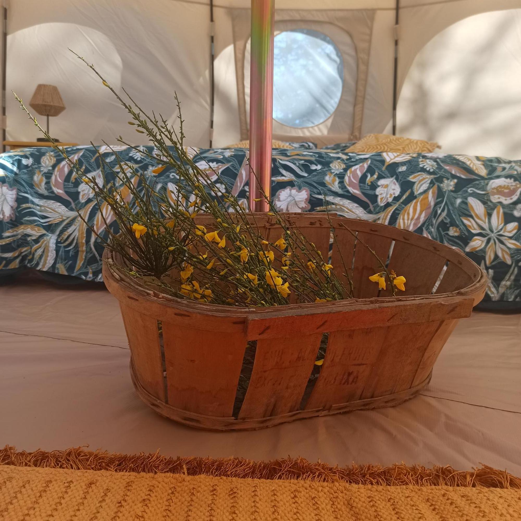 Eco Ceiba Ξενοδοχείο Busque Εξωτερικό φωτογραφία